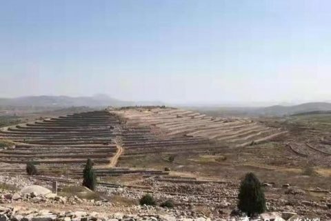 临沂土地征收补偿标准？