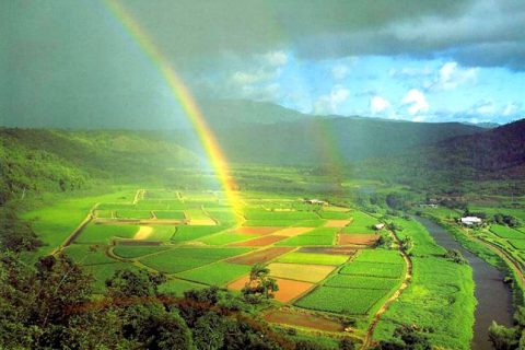 土地拆迁纠纷要怎么样解决？