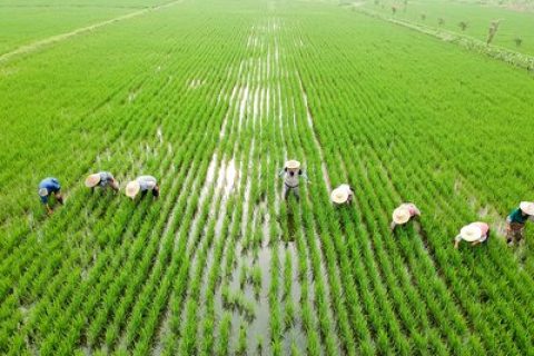 河北省土地征地补偿标准