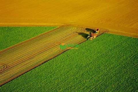 临沂征地补偿标准如何？