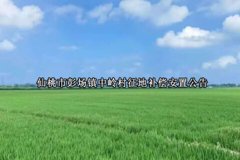 仙桃市彭场镇中岭村征地补偿安置公告