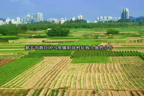 韶关市曲江区马坝镇阳岗村征收土地的公告